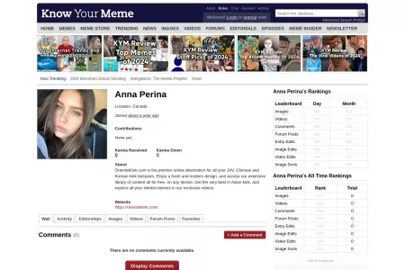 Screenshot of Anna Perina's Profile - Wall | Know Your Meme