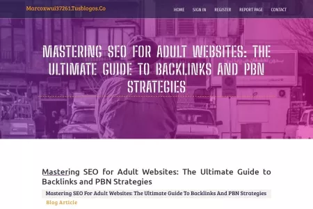 Screenshot of Mastering SEO for Adult Websites: The Ultimate Guide to Backlinks and PBN Strategies