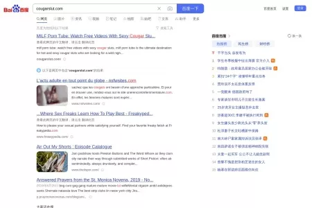 Screenshot of 百度安全验证