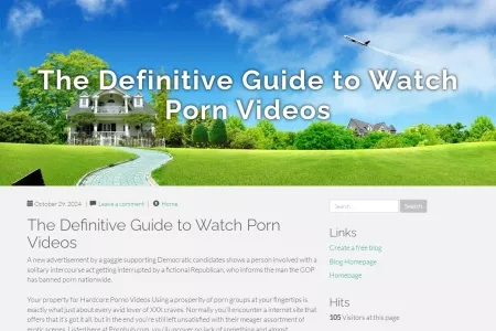 Screenshot of The Definitive Guide to Watch Porn Videos