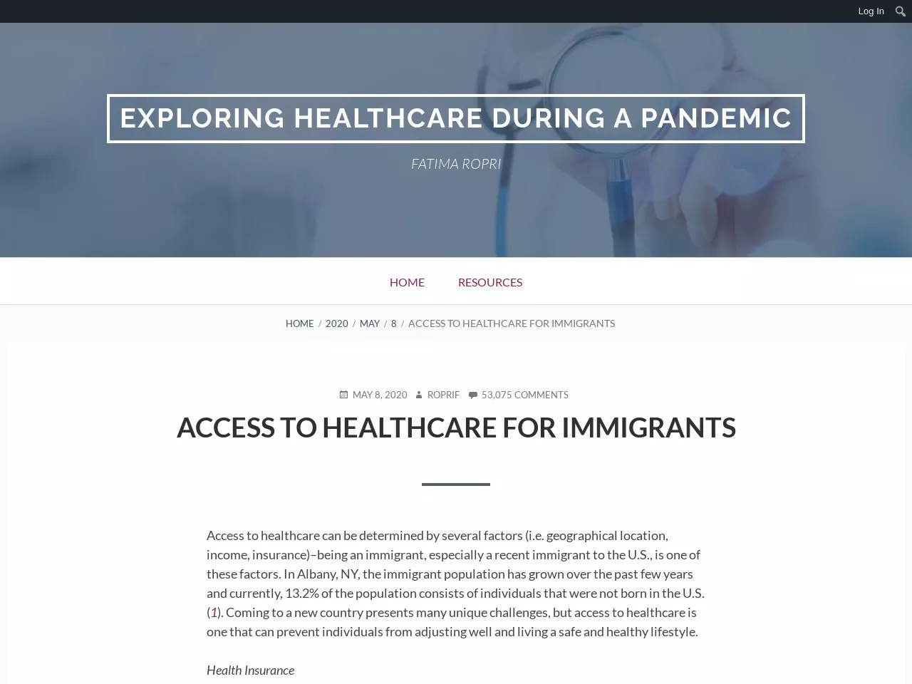 Screenshot of Access to Healthcare for Immigrants – Exploring healthcare during a pandemic