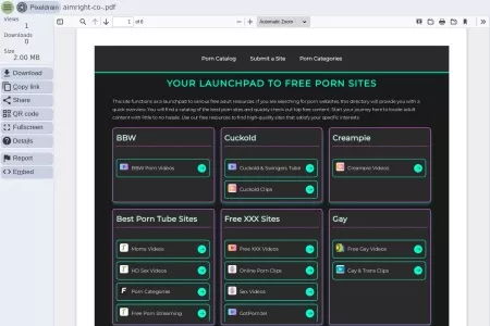 Screenshot of aimright-co-.pdf ~ pixeldrain
