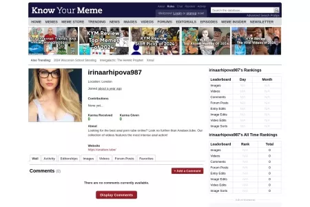 Screenshot of irinaarhipova987's Profile - Wall | Know Your Meme