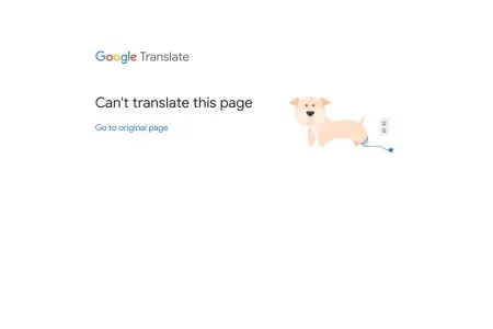 Screenshot of Google Translate