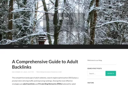 Screenshot of A Comprehensive Guide to Adult Backlinks