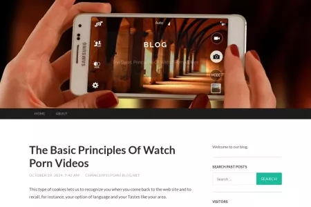 Screenshot of The Basic Principles Of Watch Porn Videos