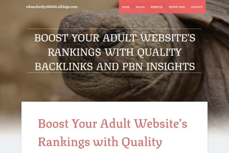 Screenshot of Boost Your Adult Website’s Rankings with Quality Backlinks and PBN Insights