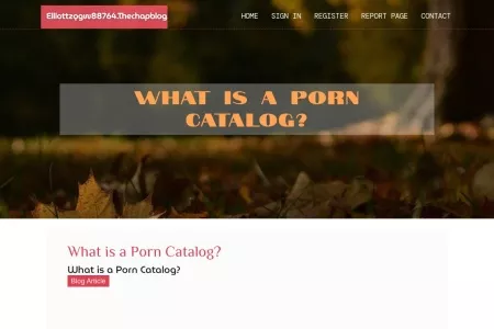 Screenshot of What is a Porn Catalog?