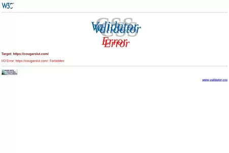 Screenshot of CSS Validator : Error