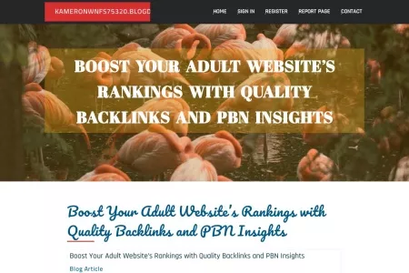 Screenshot of Boost Your Adult Website’s Rankings with Quality Backlinks and PBN Insights