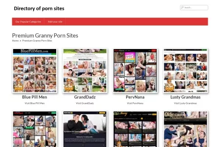 Screenshot of Premium Granny Porn Sites – The Best Porn Sites List