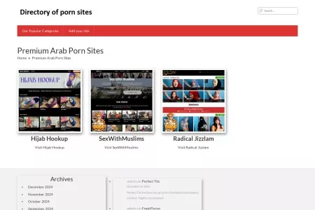 Screenshot of Premium Arab Porn Sites – The Best Porn Sites List