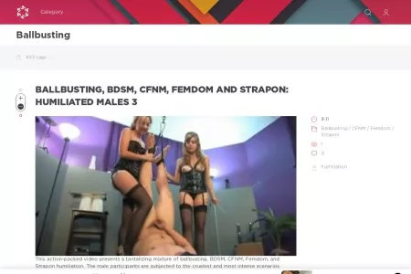 Screenshot of Ballbusting