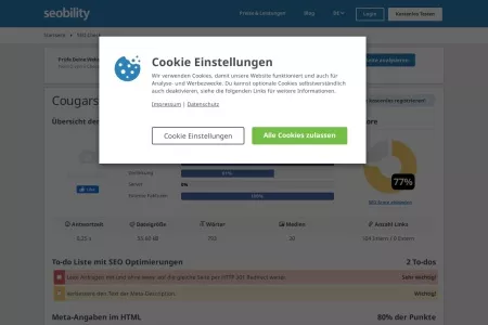 Screenshot of SEO Check  - Keine Checks mehr