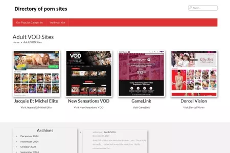 Screenshot of Adult VOD Sites – The Best Porn Sites List