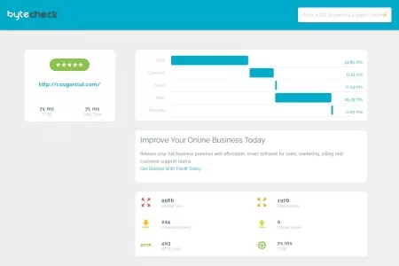 Screenshot of Byte Check - TTFB Results