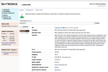 Screenshot of Анализ сайта - Инструменты - Инструменты для вебмастера и оптимизатора, анализ сайта, проверка ТиЦ и PR