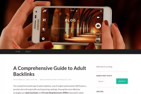 Screenshot of A Comprehensive Guide to Adult Backlinks