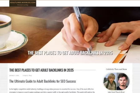 Screenshot of The Best Places to Get Adult Backlinks in 2025