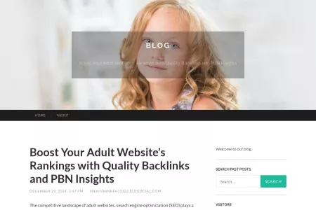 Screenshot of Boost Your Adult Website’s Rankings with Quality Backlinks and PBN Insights