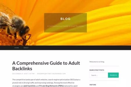 Screenshot of A Comprehensive Guide to Adult Backlinks