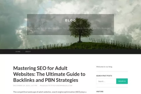 Screenshot of Mastering SEO for Adult Websites: The Ultimate Guide to Backlinks and PBN Strategies