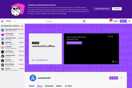 Screenshot of Twitch